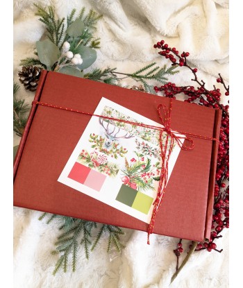 Box de Noël Winter Holly prix